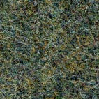 Pugi fenice 453 Swatch image for Pugi fenice 453